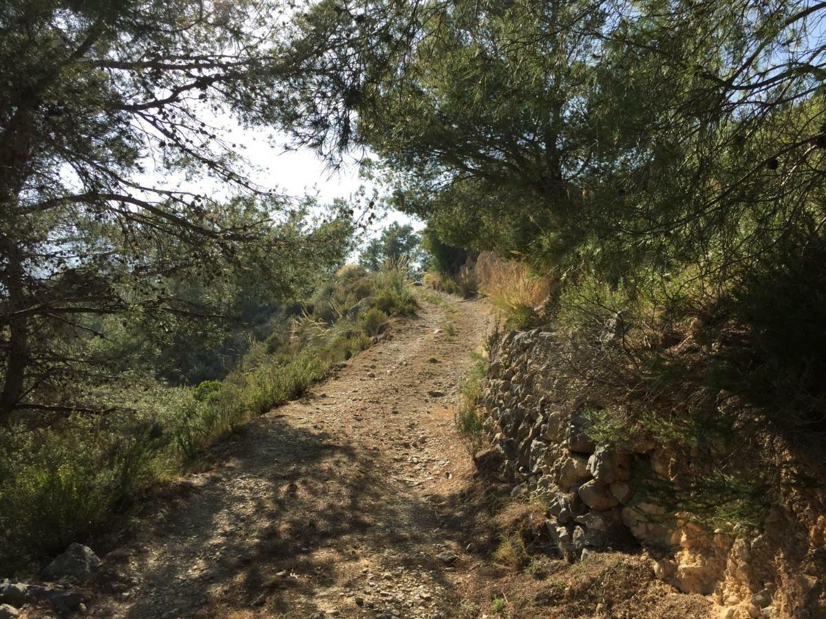 מלון פינסטראט La Yurta Naranja מראה חיצוני תמונה